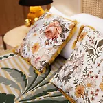 Apartman Centro *